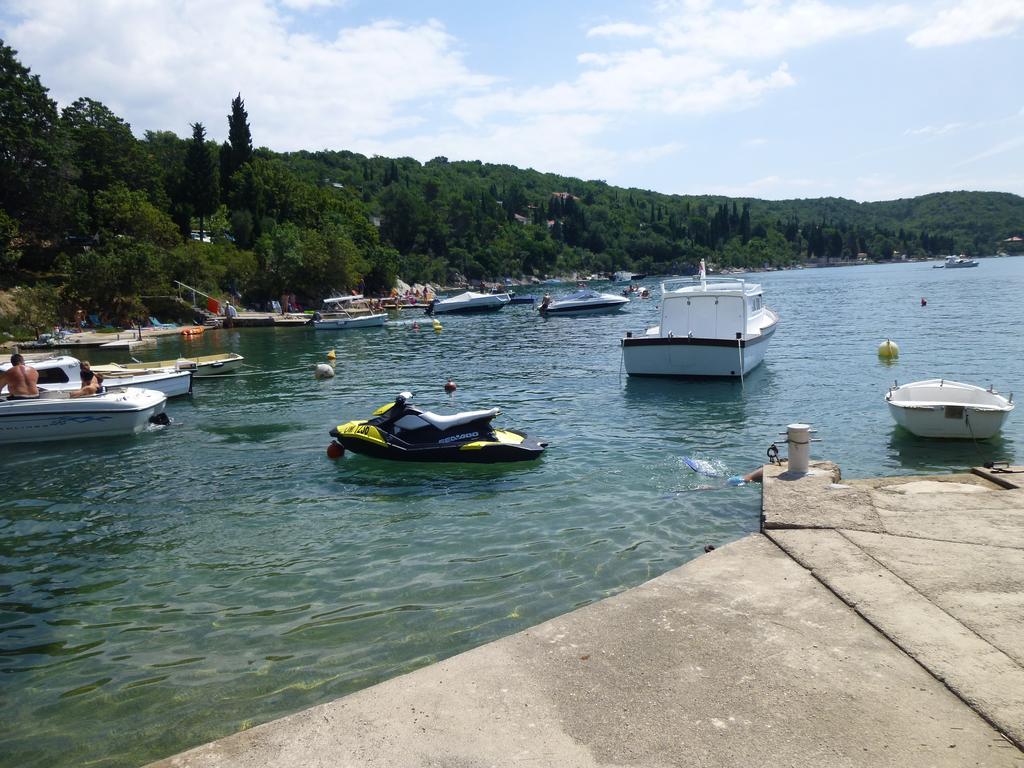 Apartments Villa Rosmarin Omišalj Kültér fotó